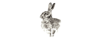 web services swamp rabbit media